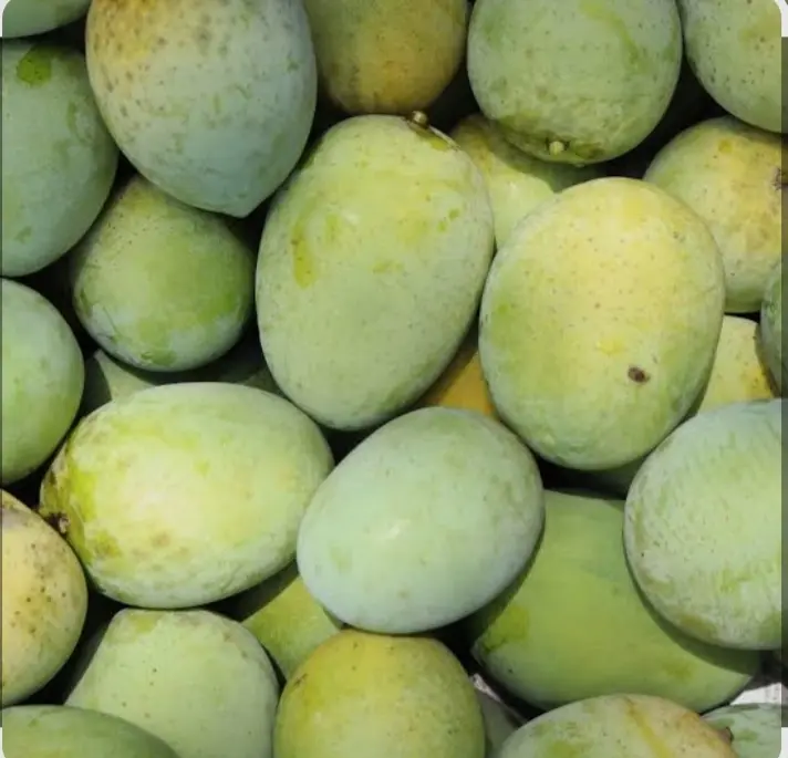 ন্যাংরা আম ১২ কেজি